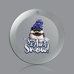 Clear Say it Ain't Snow Ornament 