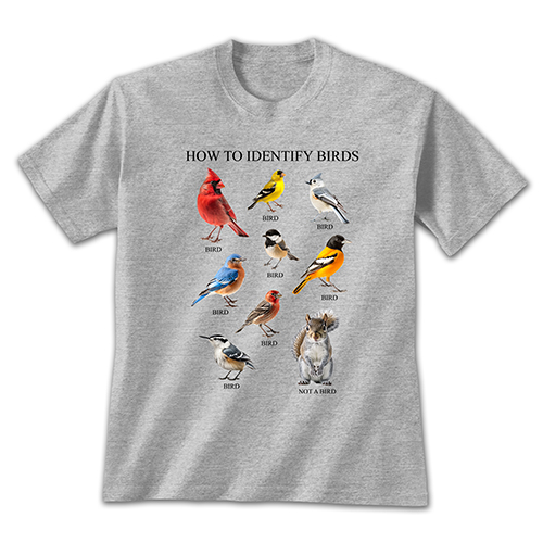How to Identify Birds Sports Grey T-Shirt