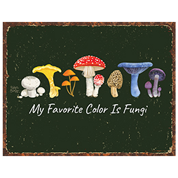 NA My Favorite Color is Fungi Tin Sign 