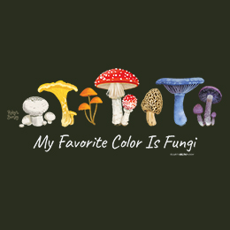 Forest Green My Favorite Color is Fungi T-Shirt 