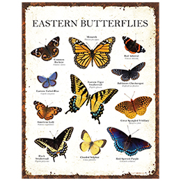 NA Eastern Butterflies Tin Sign 