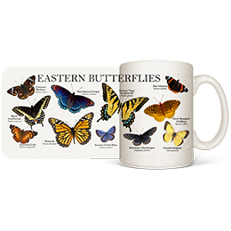 White Eastern Butterflies Coffee Mugs 