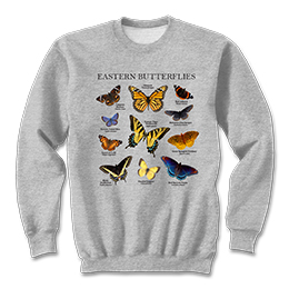 Sports Grey Eastern Butterflies Sweatshirts 