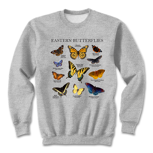 Eastern Butterflies