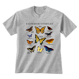 Sports Grey Eastern Butterflies T-Shirts 
