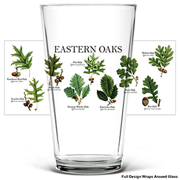 Clear Eastern Oaks Pint Glass - Color Printed 