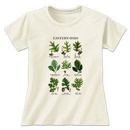 Natural Eastern Oaks Ladies T-Shirts 