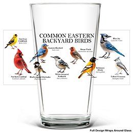 Clear Common Eastern Birds Pint Glass - Color Printed 