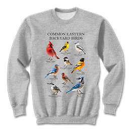 Sports Grey Common Eastern Birds Sweatshirts 