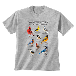 Sports Grey Common Eastern Birds T-Shirts 