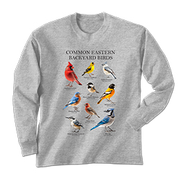 Sports Grey Common Eastern Birds Long Sleeve Tees 