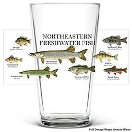 Clear Northeastern Fish Pint Glass - Color Printed 