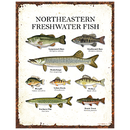 NA Northeastern Fish Tin Sign 