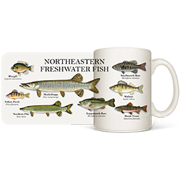 White Northeastern Fish Coffee Mugs 