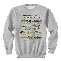 Sports Grey Northeastern Fish Sweatshirts 