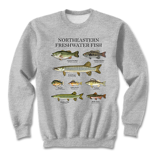 Northeastern Fish