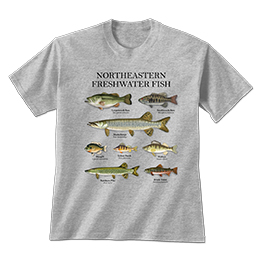 Sports Grey Northeastern Fish T-Shirt 