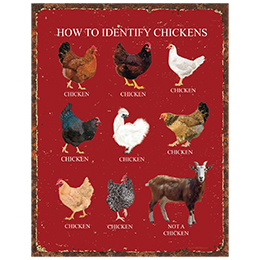 NA How to Identify Chickens Tin Sign 