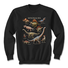 Black Dinosaurs Sweatshirts 