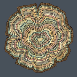 Heather Navy Tree Rings T-Shirt 