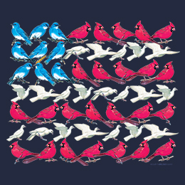 Navy Bird Flag T-Shirt 
