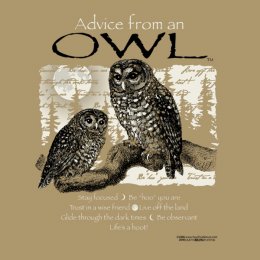 Khaki Brown Advice Owl T-Shirt 